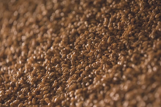 Unveiling the Wonders of Wheat Berries: A Nutrient-Packed Powerhouse